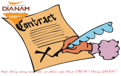 Hướng dẫn về thuế TNCN, BHXH đối với hợp đồng cộng tác viên
