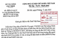 Đã có Công văn 2163/CT-QLTT hướng dẫn người nộp thuế sử dụng số định danh cá nhân thay cho mã số thuế