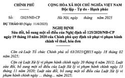 Cập nhật dự thảo Nghị định sửa Nghị định 125 xử phạt vi phạm hành chính về thuế, hóa đơn