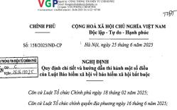 Đã có Nghị định 158/2025/NĐ-CP hướng dẫn Luật Bảo hiểm xã hội về bảo hiểm xã hội bắt buộc