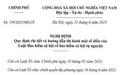 Đã có Nghị định 159/2025/NĐ-CP hướng dẫn Luật Bảo hiểm xã hội về bảo hiểm xã hội tự nguyện